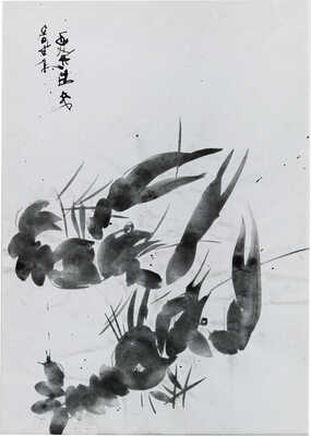 Казарин Виктор Семенович.  Раки